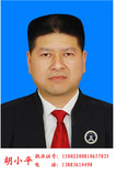 胡小平